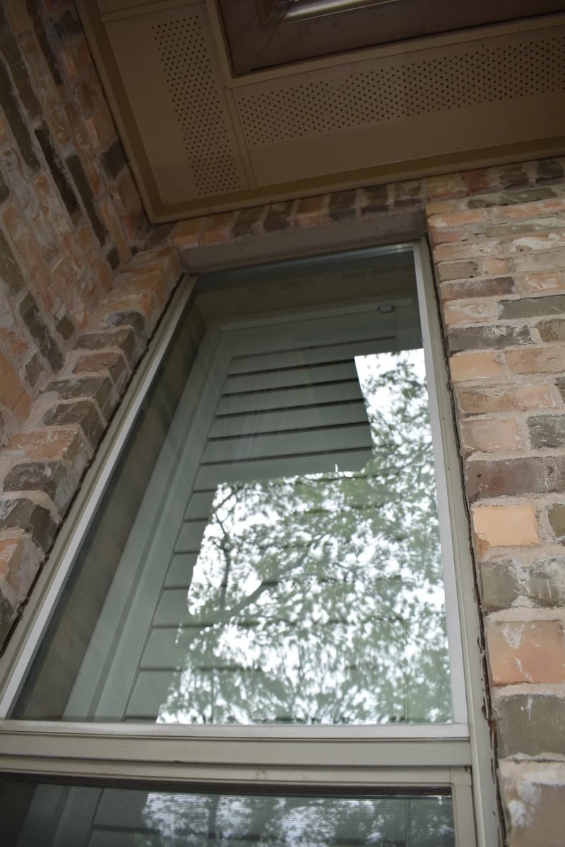 Professionally cleaned residential window reflecting mature trees at a North Dallas property